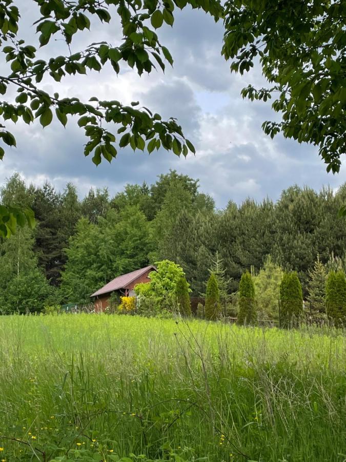 Wittówka - domek z dala od sąsiadów Tomaszów Lubelski Exterior foto