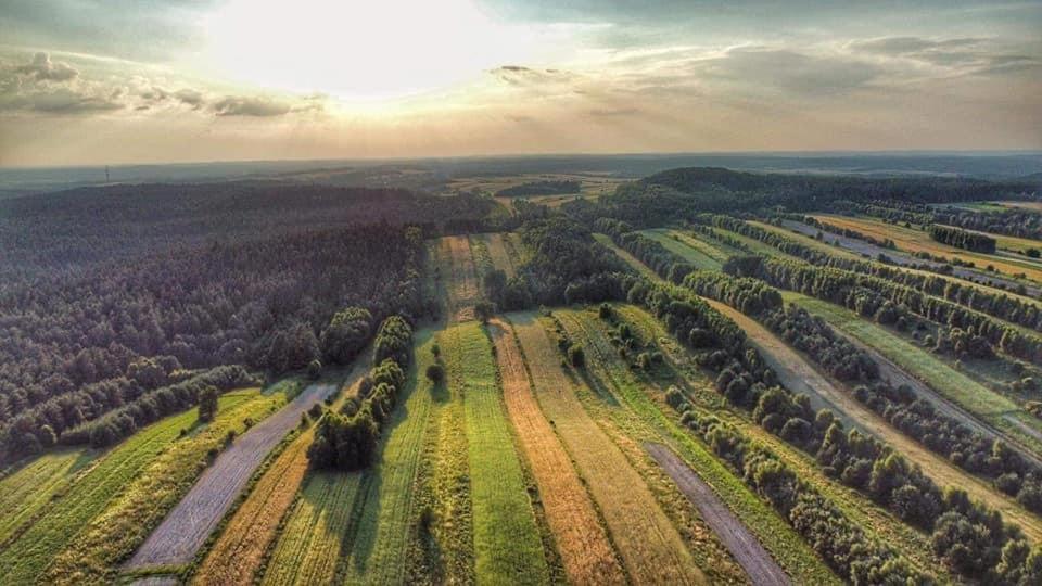 Wittówka - domek z dala od sąsiadów Tomaszów Lubelski Exterior foto